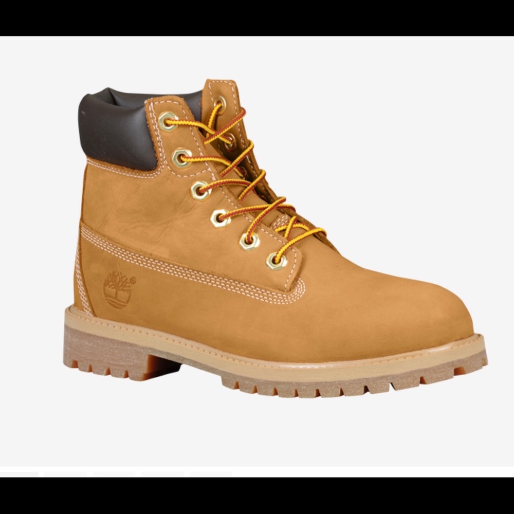 Brand New Timberland 6" premium waterproof boots
